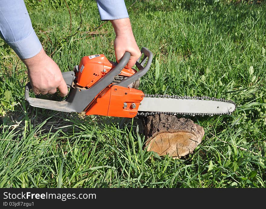 Man's hands hold a petrol saw which saws a tree piece