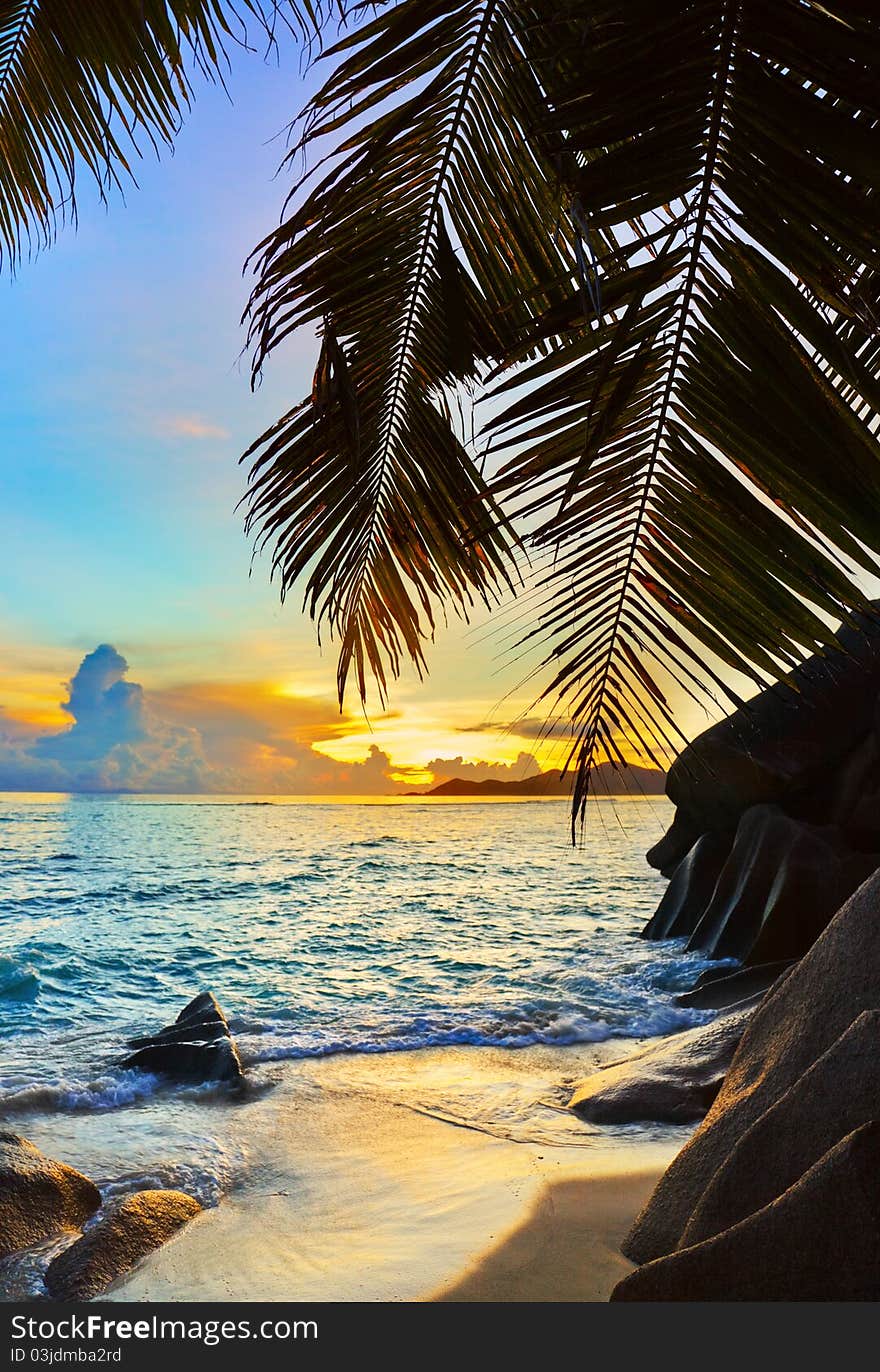 Tropical beach at sunset - nature background