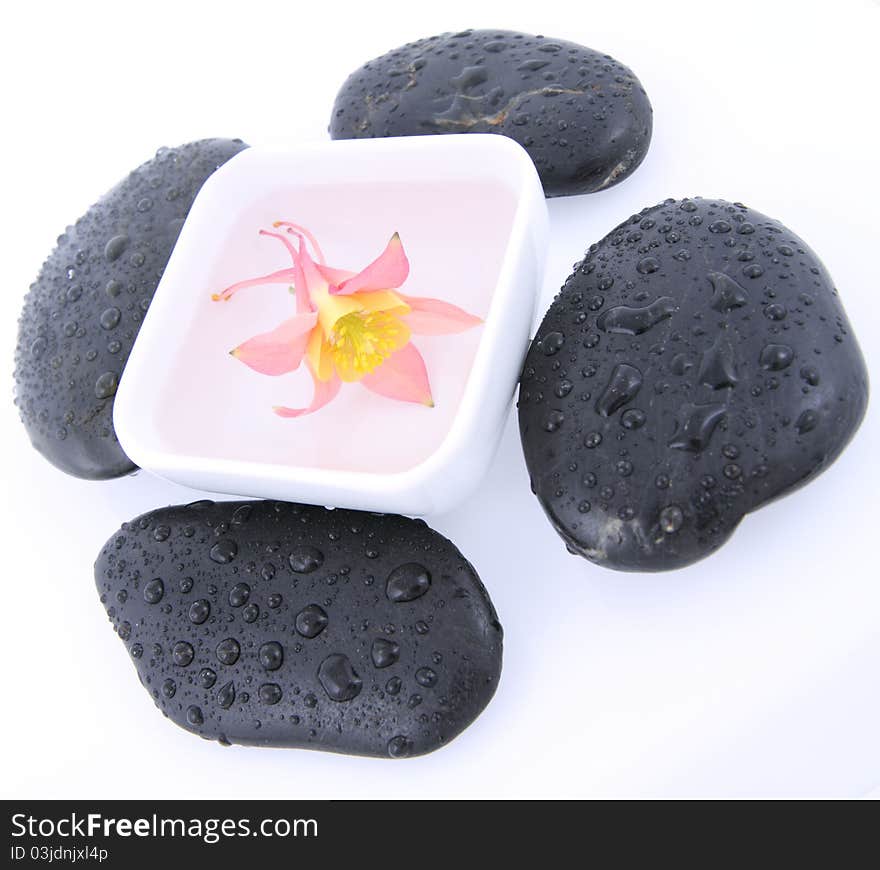 Columbine flowers floating in a bowl and spa stones on a white. Columbine flowers floating in a bowl and spa stones on a white