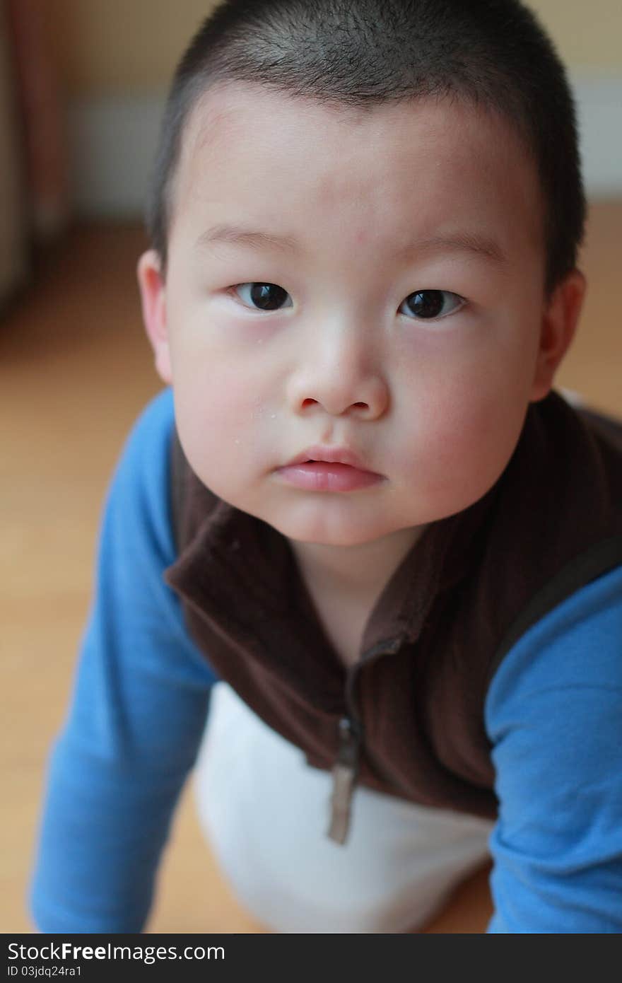 Lovely chinese kid crawing on the floor at home. Lovely chinese kid crawing on the floor at home