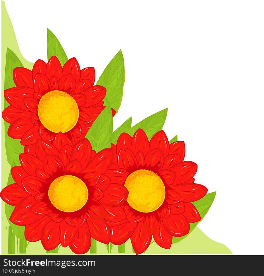 Red flowers isolated on white