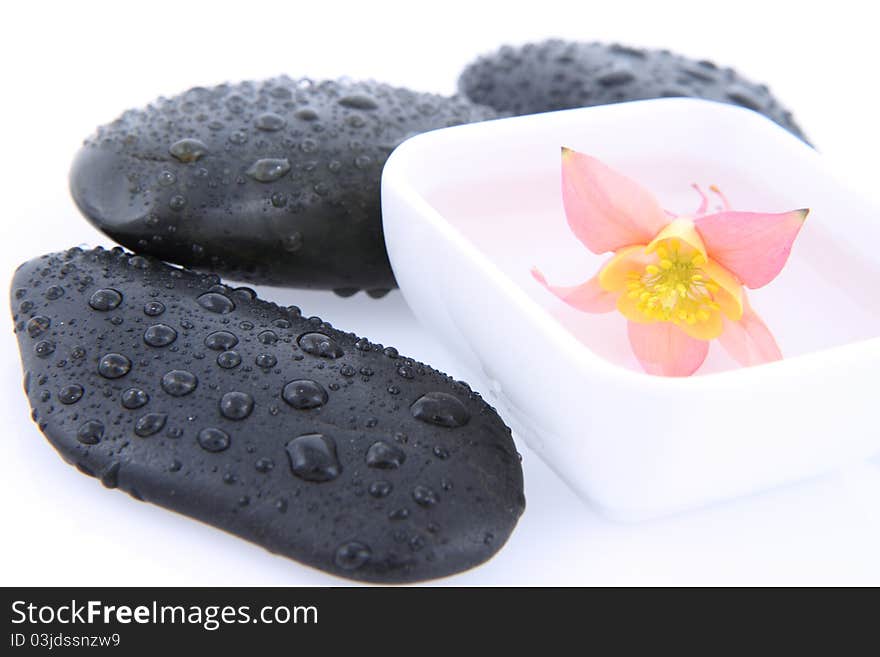 Columbine flower floating in a bowl and spa stones on a white. Columbine flower floating in a bowl and spa stones on a white