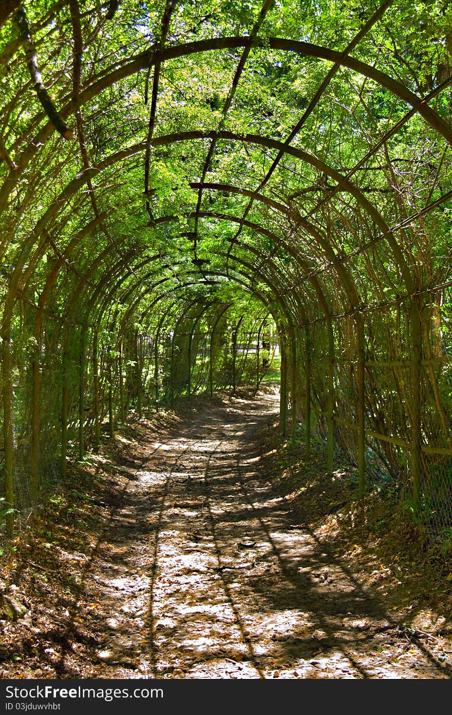 Archway in park