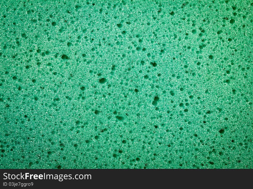 Image of a green spongy texture. Image of a green spongy texture