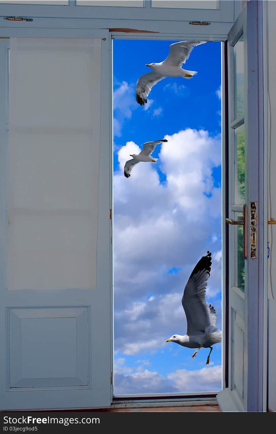 Seagulls flying on blue sky through an old traditional door on Santorini island, Greece