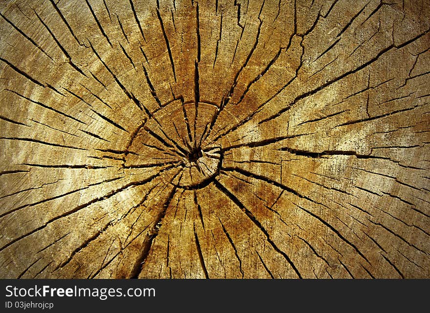 Wooden cut texture with cracked lines. Wooden cut texture with cracked lines.