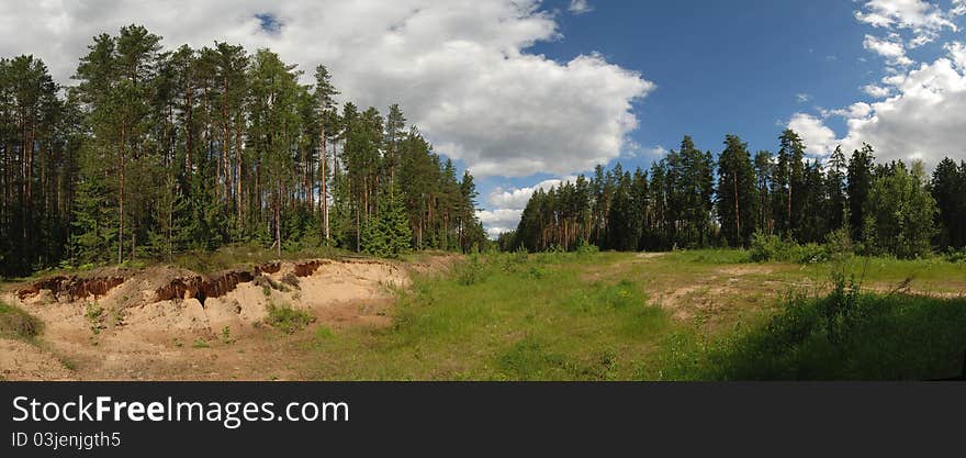 Panoramic landscape of forest in sunny summer day. Panoramic landscape of forest in sunny summer day