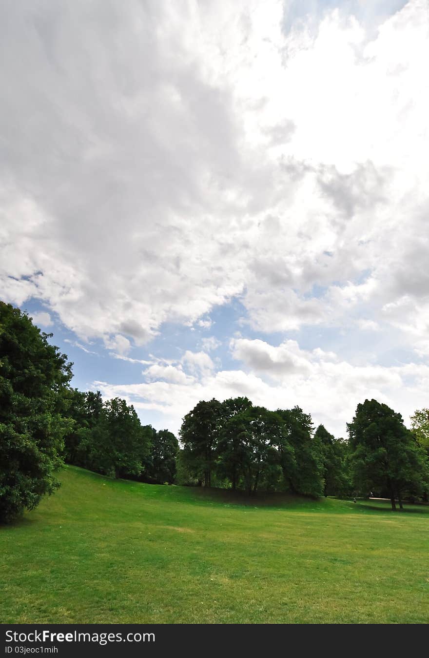 Landscape with green juicy leaves and beautiful cumulus clouds