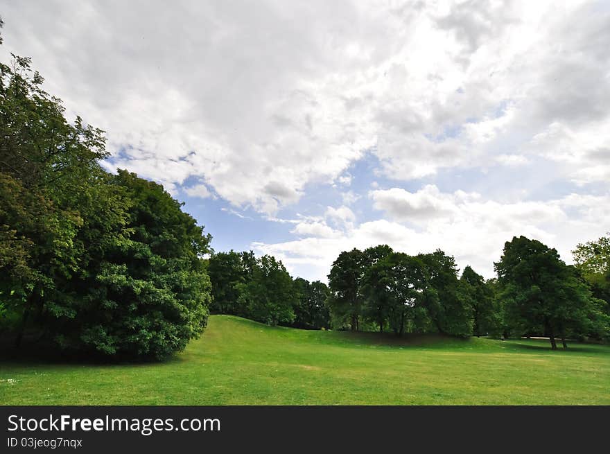 Landscape with green juicy leaves and beautiful cumulus clouds