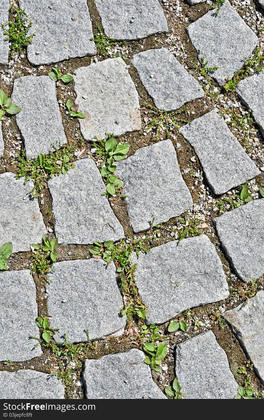 Pavement stone tile with grass germination