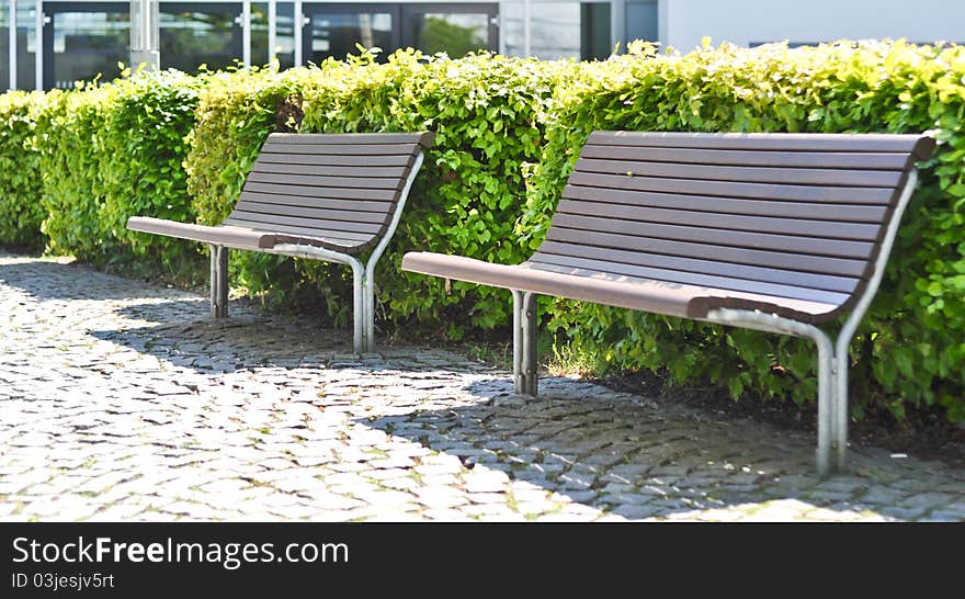 Wooden benchs in front of bush