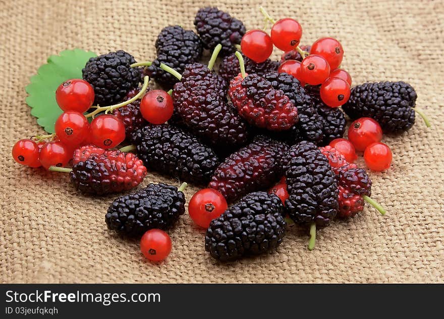 Sweet mulberry and red currants