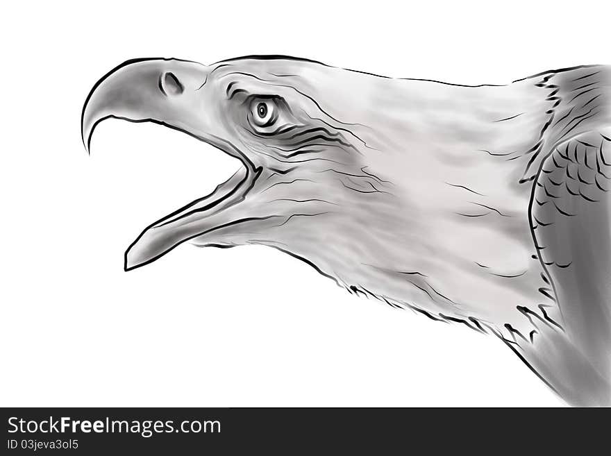 Drawing Of Eagle