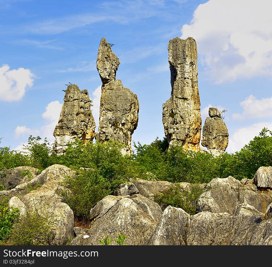 Stone Forest