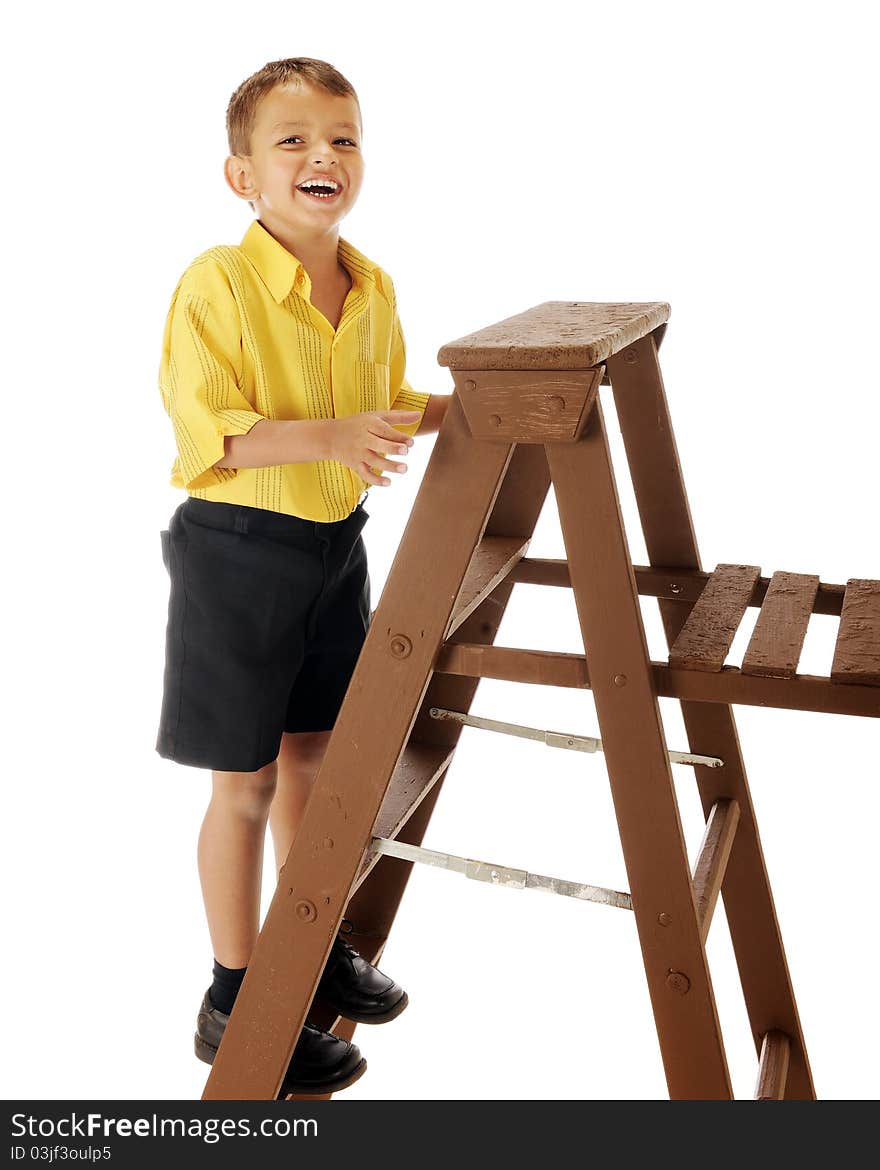 A handsome preschooler delighted being up on a step ladder. Isolated on white. A handsome preschooler delighted being up on a step ladder. Isolated on white.