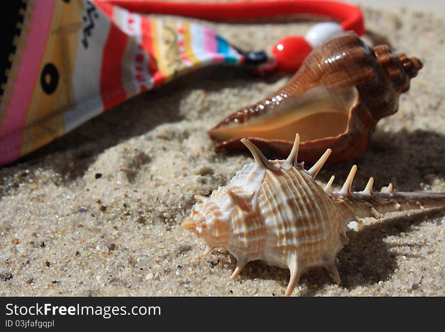 This photograph shows the typical items for the beach. This photograph shows the typical items for the beach.