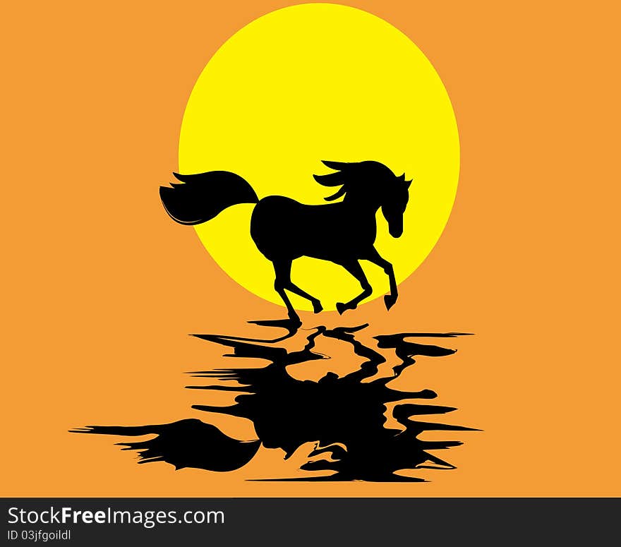 Running horse in the sunset moment