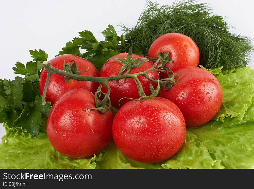 Tomatoes on leaves of salad with parsley and fennel. Tomatoes on leaves of salad with parsley and fennel