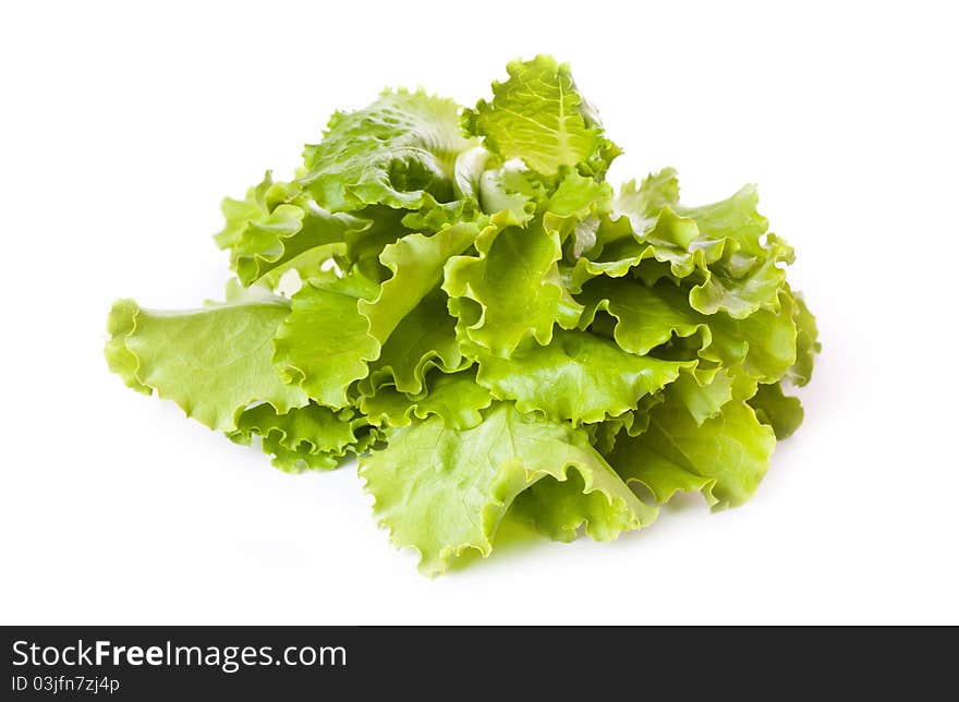 Fresh lettuce leaves across white