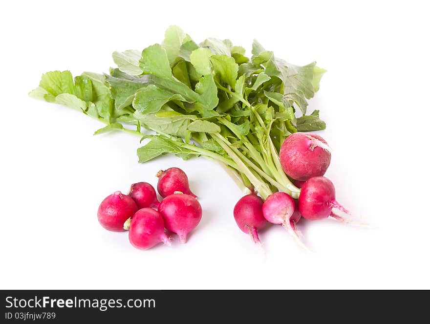 Fresh red radish across white