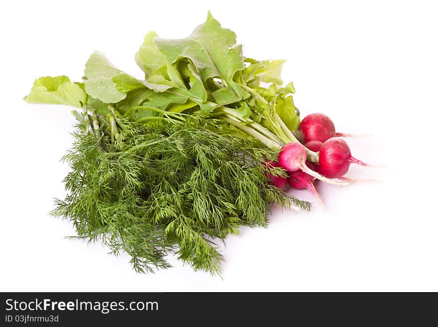 Radish and dill across white