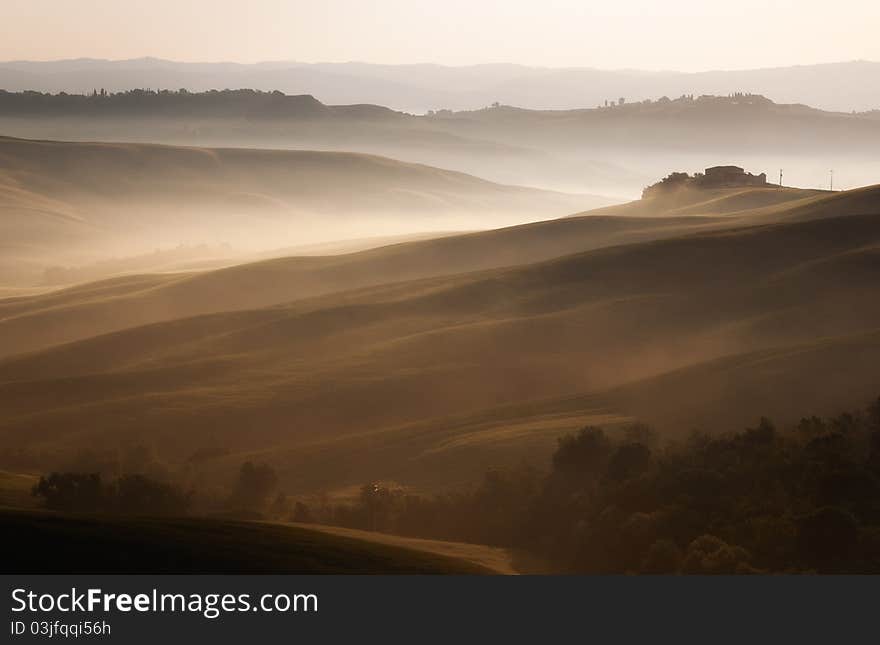 Foggy Morning