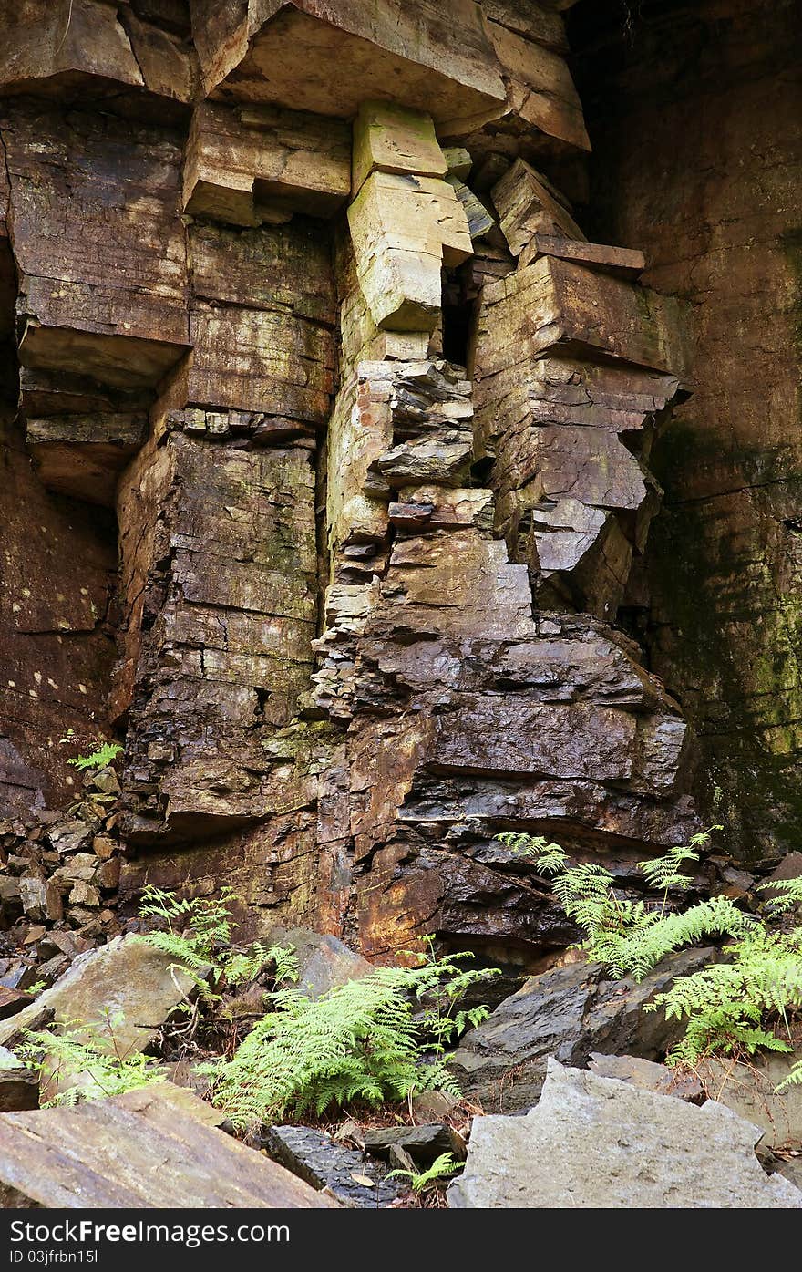 The weathered rock in the green plants