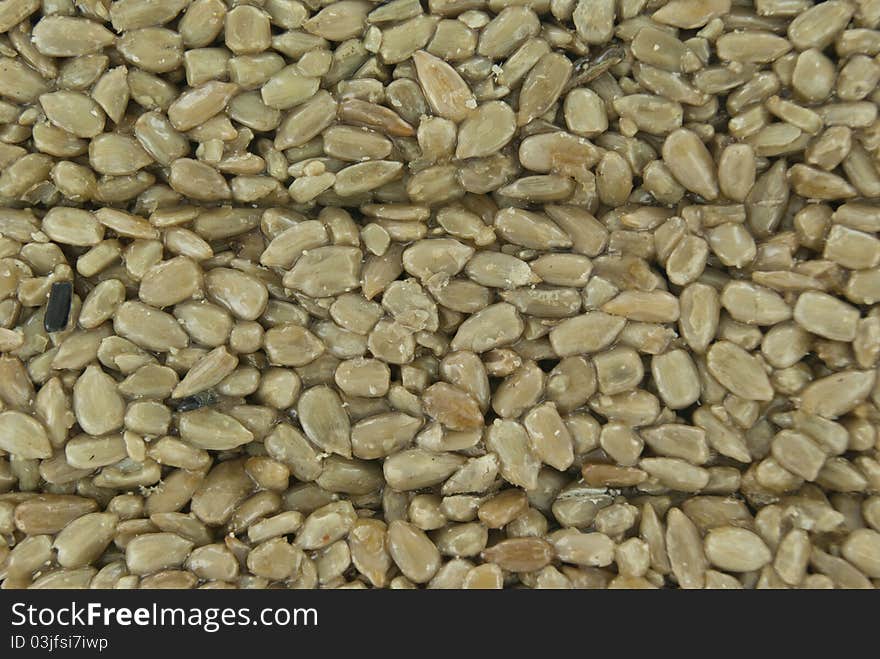 Sunflower seeds as a background