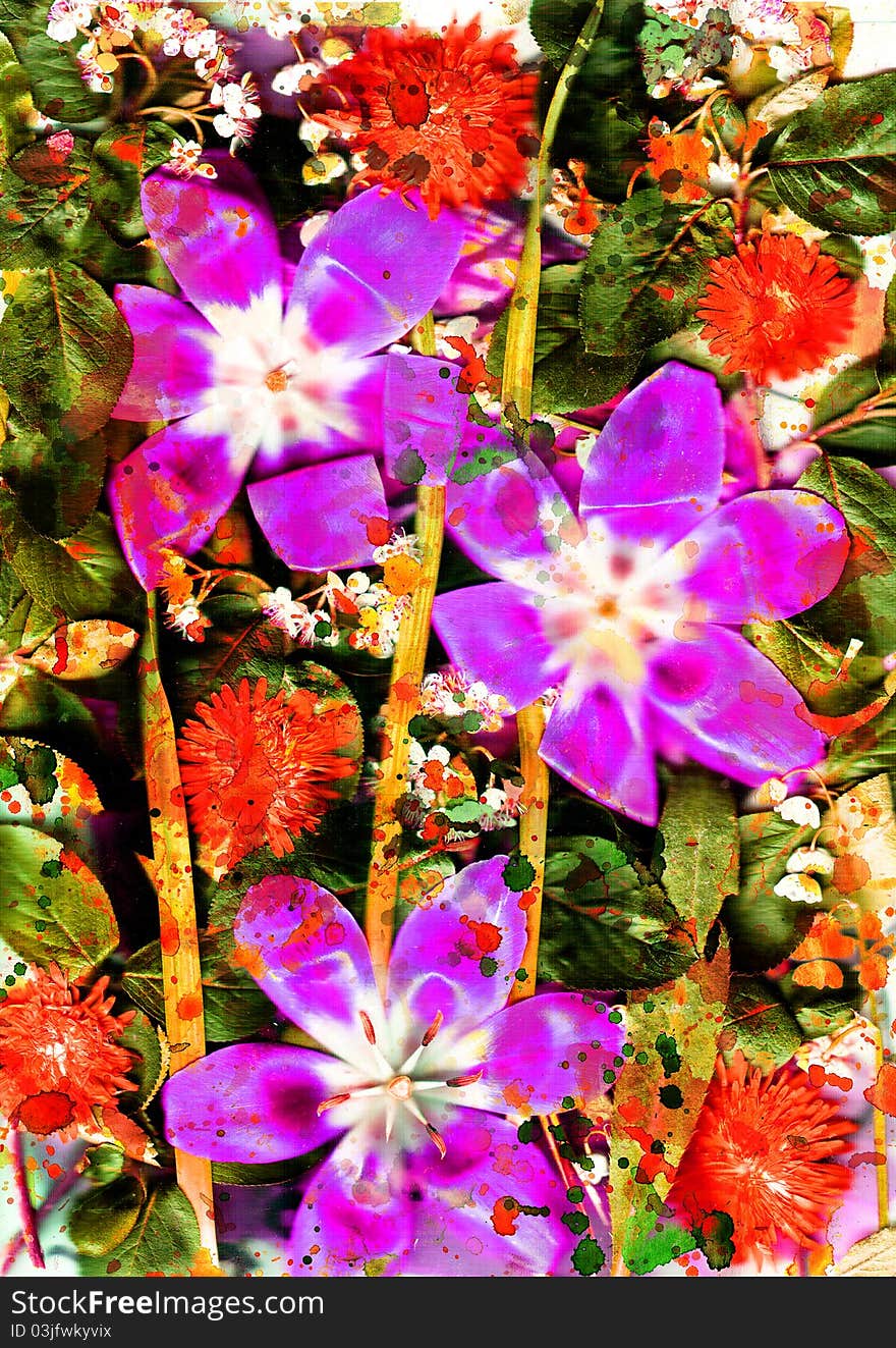 Composition from summer flowers. Abstract and square. Composition from summer flowers. Abstract and square