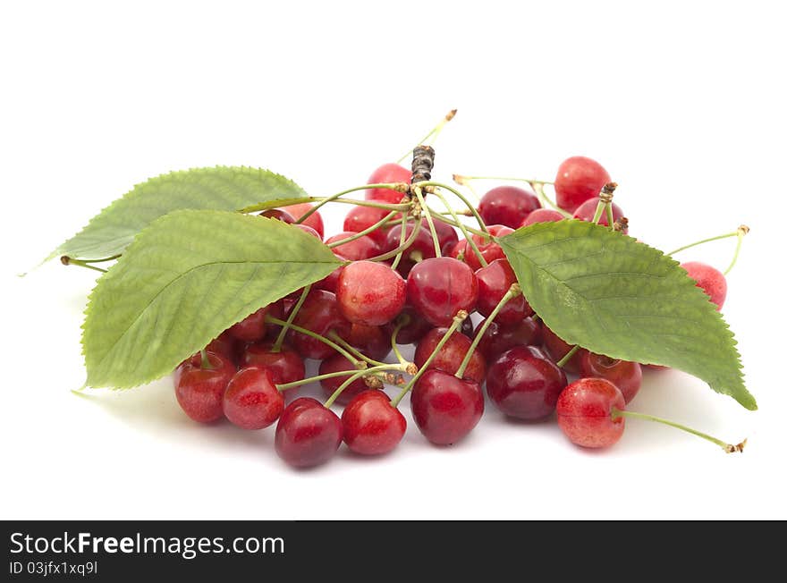 Red cherry on white background