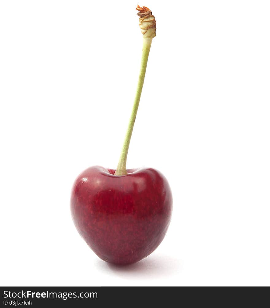 Cherry on a white background