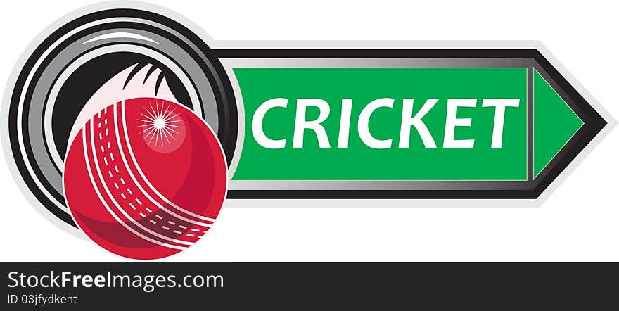 Cricket Sports Ball