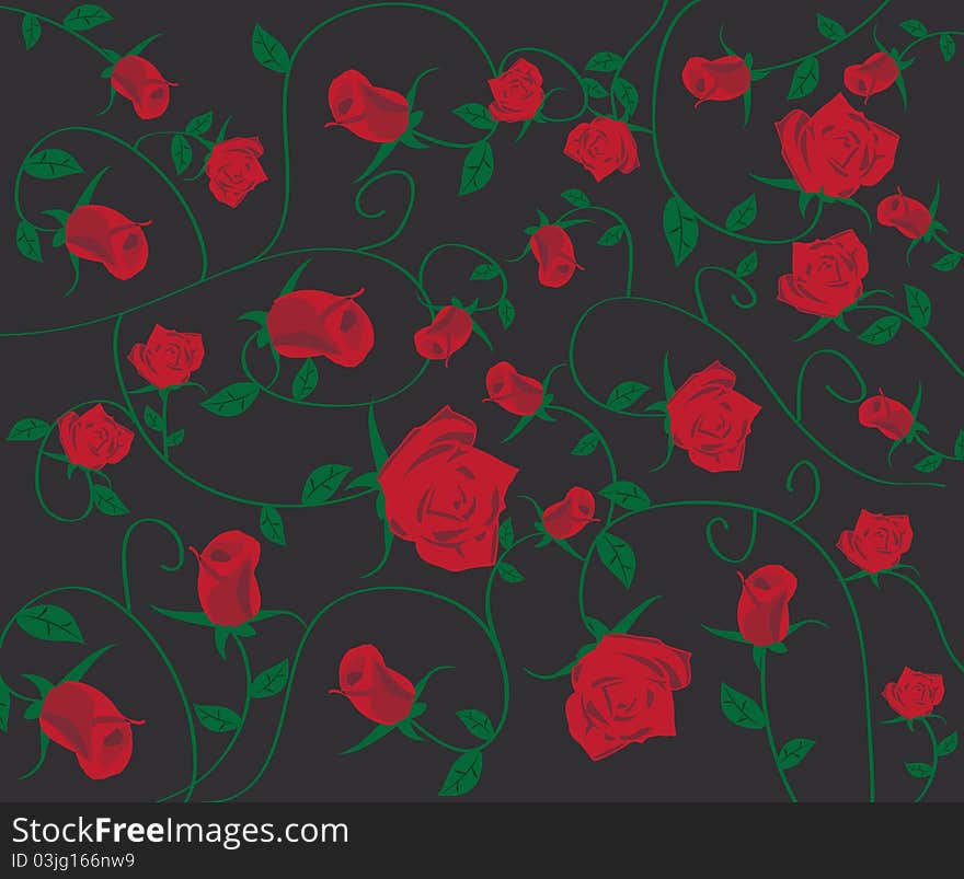 Rose flower background