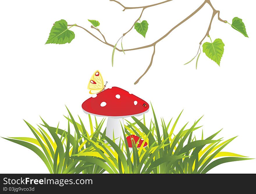 Fly agaric mushrooms in grass and birch sprig. Illustration