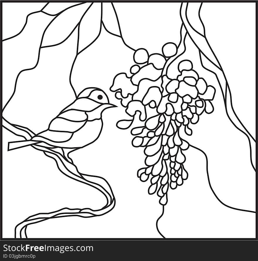 Vector illustation of bird and grapes. Vector illustation of bird and grapes