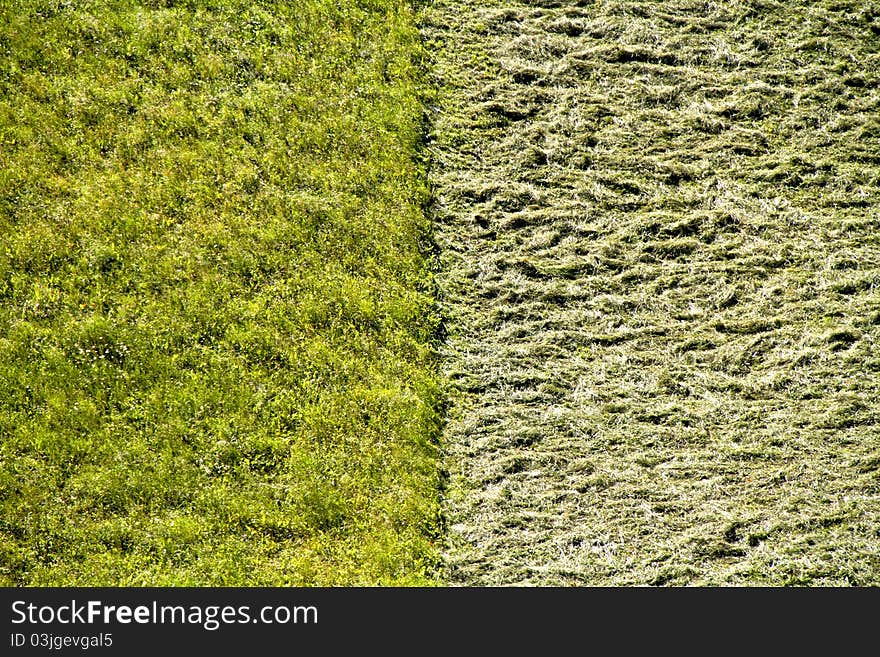 Processing of hay in a field seen from above. Processing of hay in a field seen from above