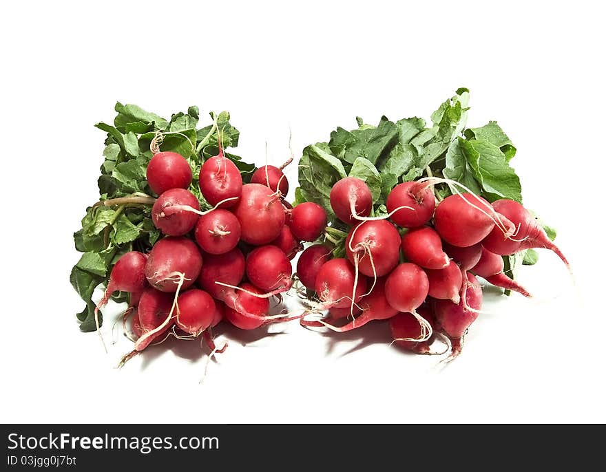 Ripe radish isolated on white