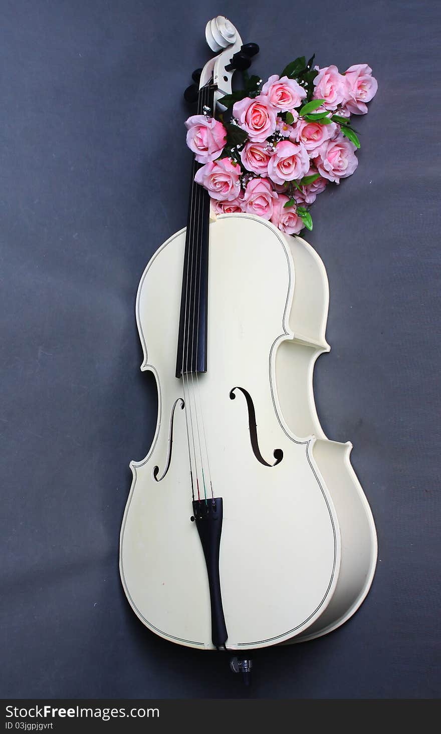 A white cello on the gray background