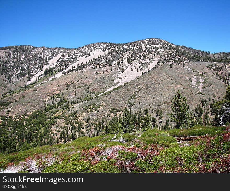 Sugarloaf Mountain, San Bernardino National Forest, CA