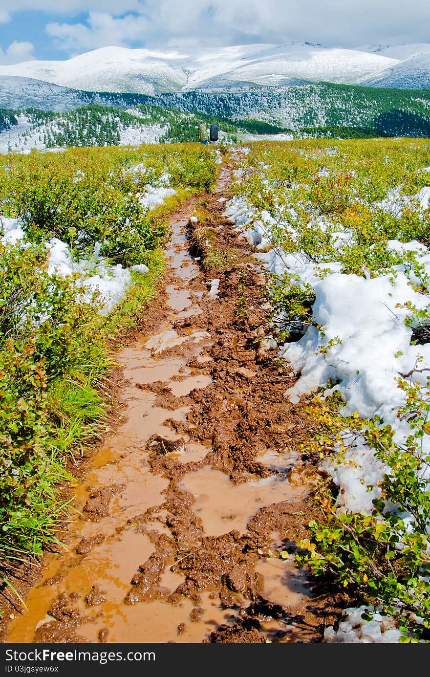 Brown mash trail crossing green mountain field