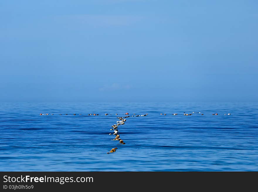 Fishing Net on the surface of the sea