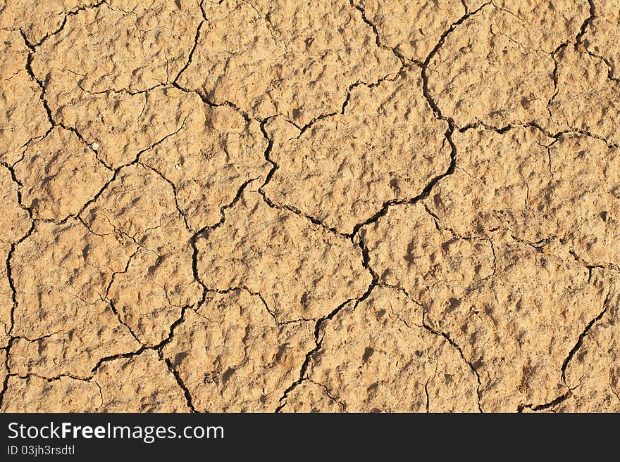 Cracks from the drought of clay earth