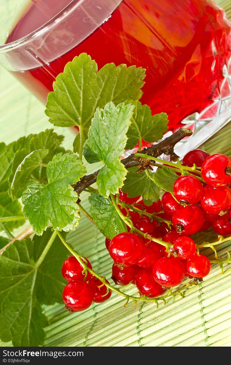 Compote of red currants