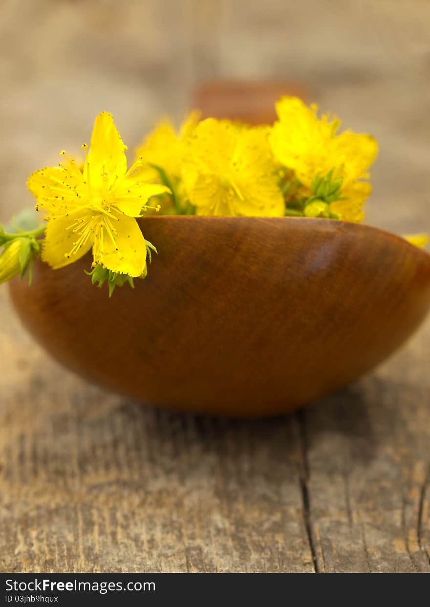 Fresh and colorful flowers on the wooden dish, macro. Fresh and colorful flowers on the wooden dish, macro