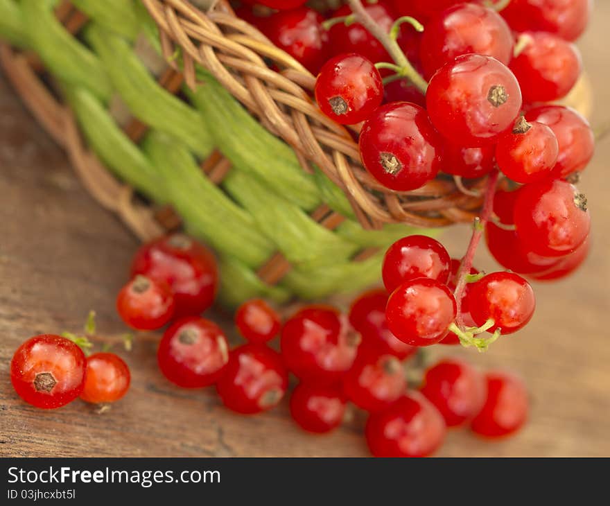 Red currants