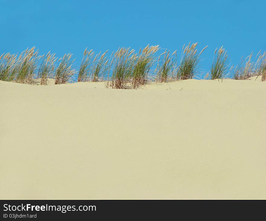 Dunes