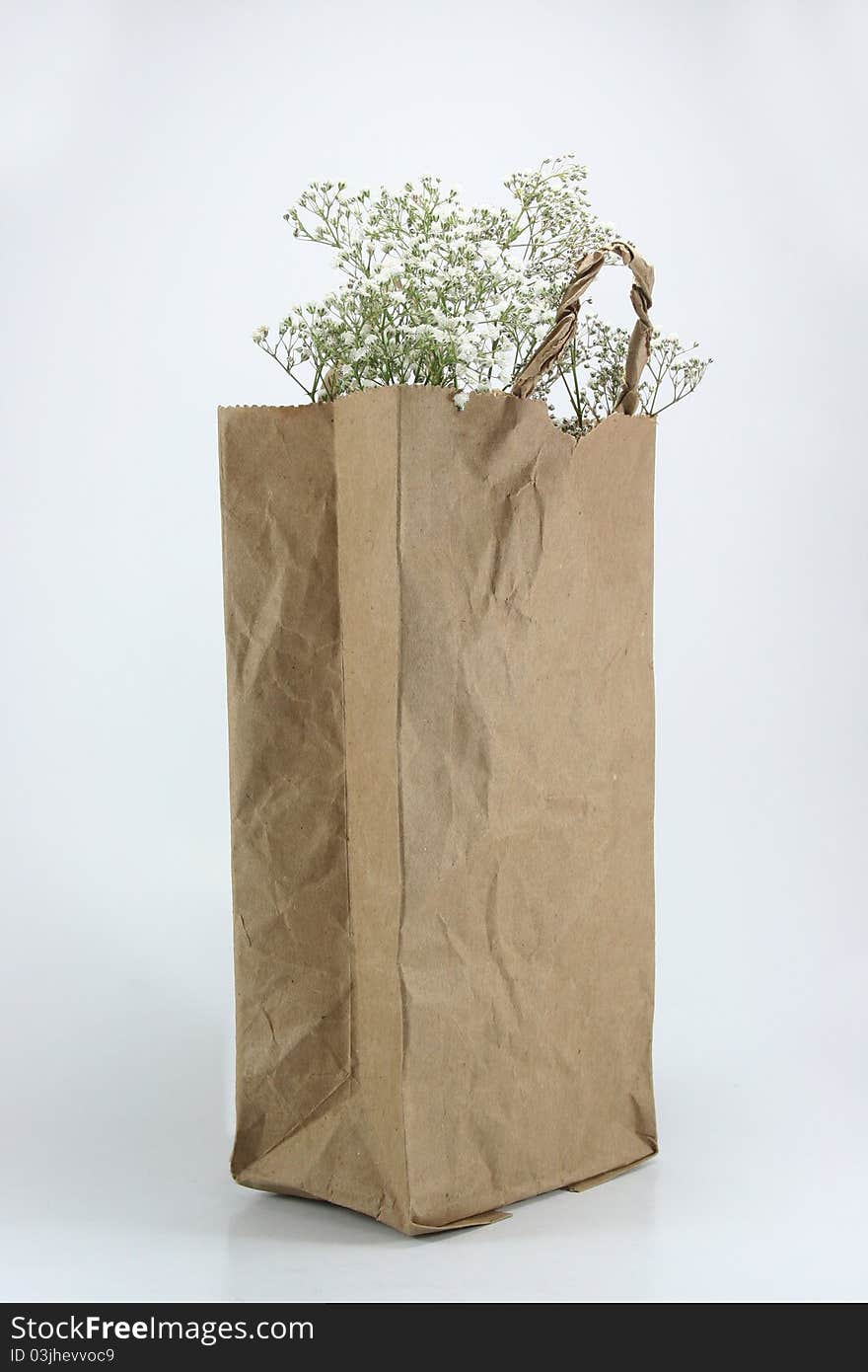 Brown Crumpled paper Bag