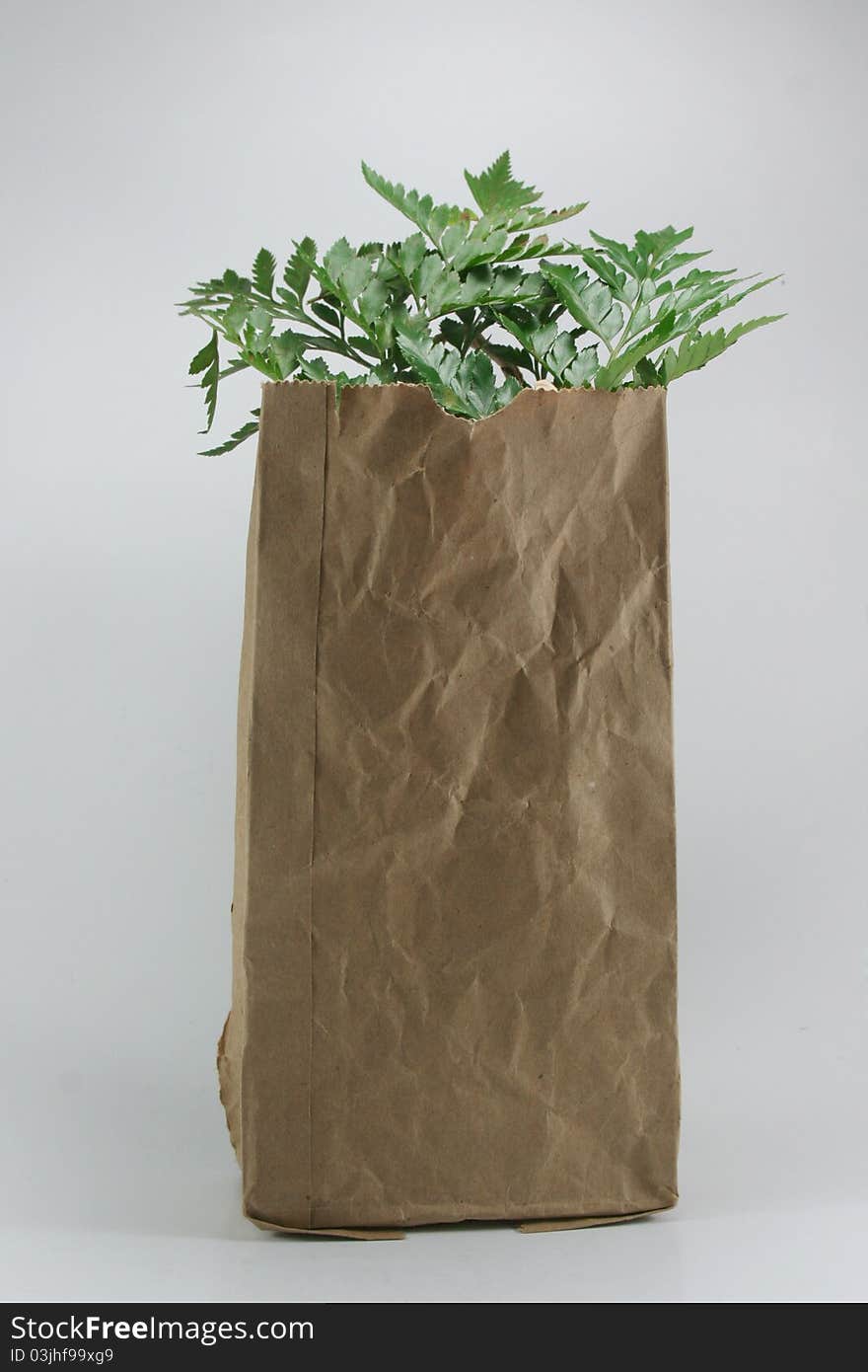 Brown Crumpled Paper Bag