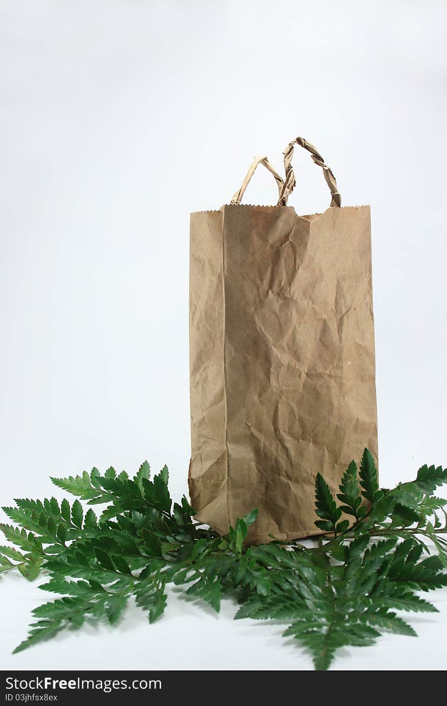 Brown Crumpled Paper Bag