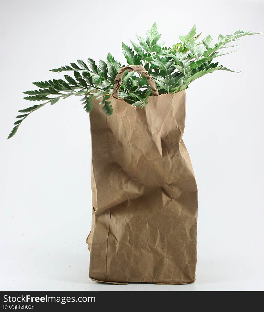 Brown Crumpled paper Bag